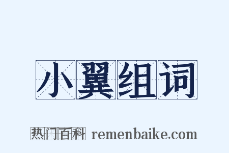 小翼组词是什么意思的图片